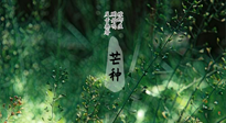 【二十四節(jié)氣灸】芒種節(jié)氣，培土補脾、養(yǎng)陰生津！艾灸這些穴位事半功倍！