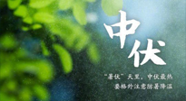【三伏養(yǎng)生】至熱中伏，吃三樣，喝三樣，三大禁忌千萬別犯，小心落下病根！